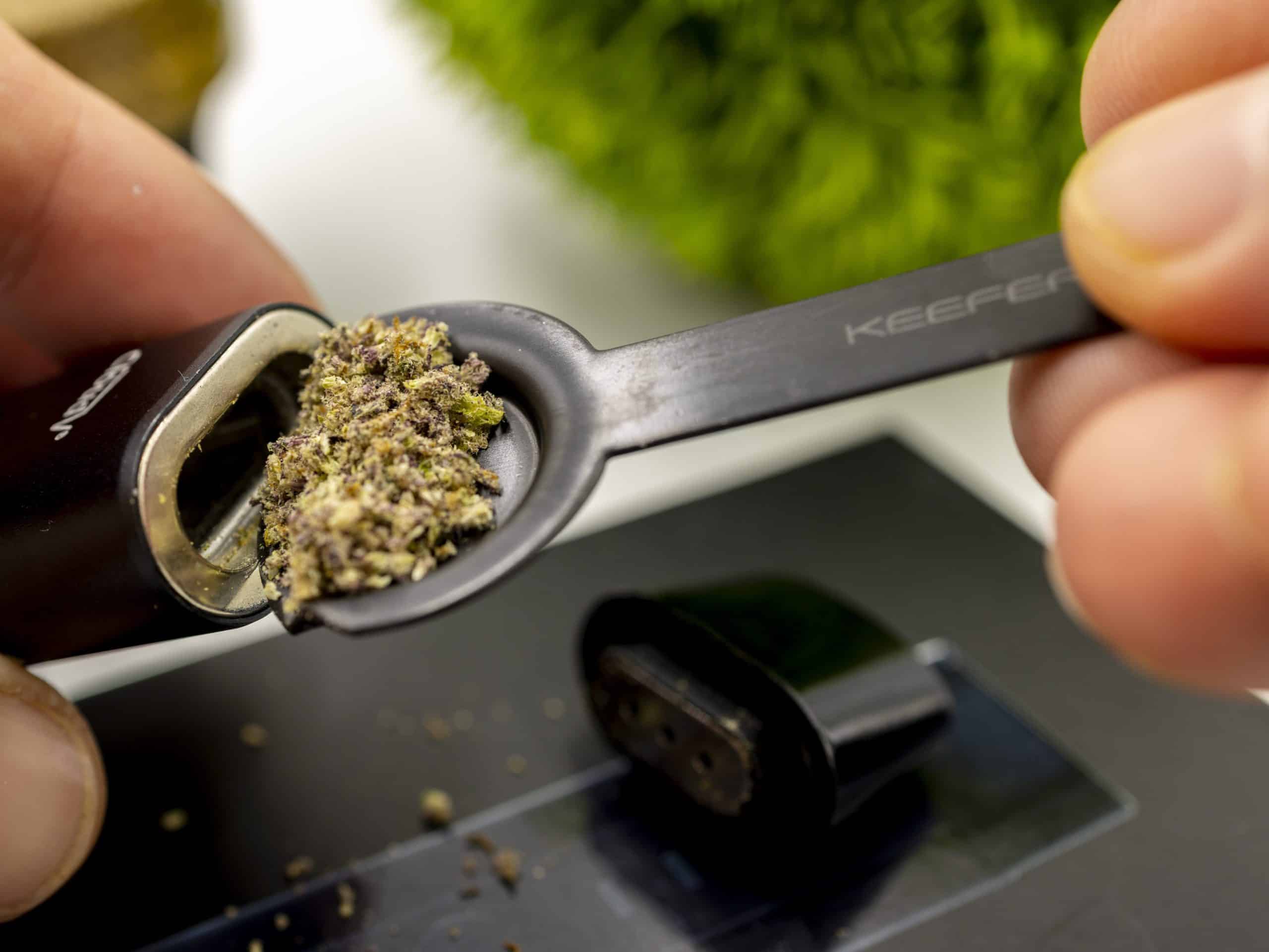 Best Kief Scraper Herb Grinder Scoop & Weed Packing Tool